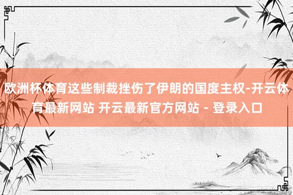 欧洲杯体育这些制裁挫伤了伊朗的国度主权-开云体育最新网站 开云最新官方网站 - 登录入口